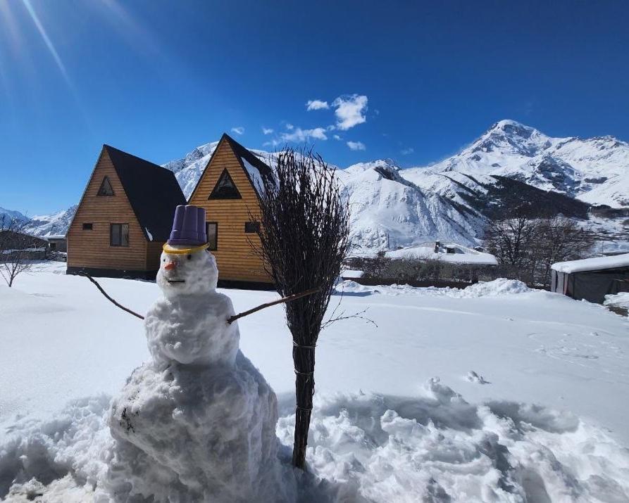 הוילה Via Kazbegi מראה חיצוני תמונה